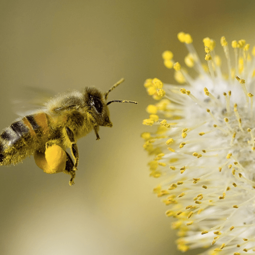 Screen Shot 2017-06-29 at 17.04.12